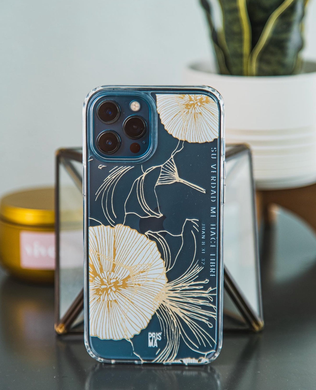 Su verdad me hace libre | Clear Phone Cases