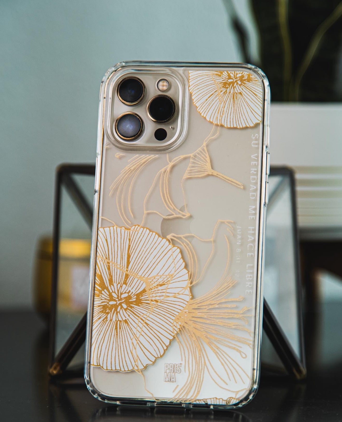 Su verdad me hace libre | Clear Phone Cases